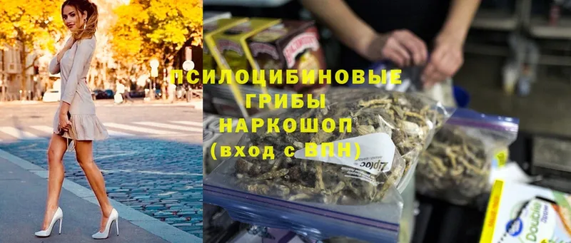 Псилоцибиновые грибы прущие грибы  где продают   МЕГА ССЫЛКА  Нюрба 